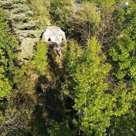 L'Oriel Du Senepy Casa de hóspedes La Motte-dʼAveillans Exterior foto